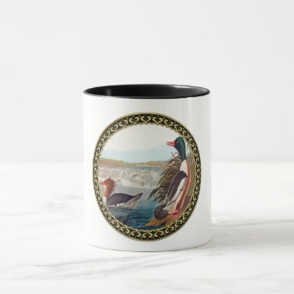 Taza Patos mallard americanos en un río nadando