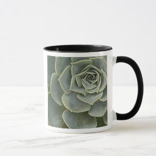 Taza Patrón de cactus