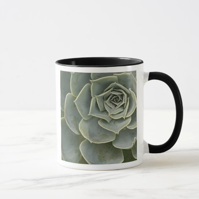Taza Patrón de cactus (Derecha)