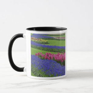 Taza Patrón de jacinto de uva, tulipanes y