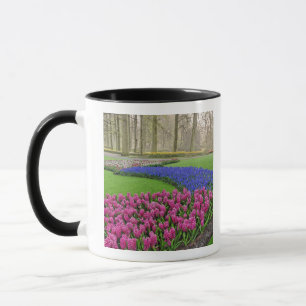 Taza Patrón de jacinto de uva, tulipanes y 2