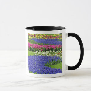 Taza Patrón de jacinto de uva, tulipanes y 3