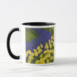 Taza Patrón de jardín de flores de jacinto de uva y