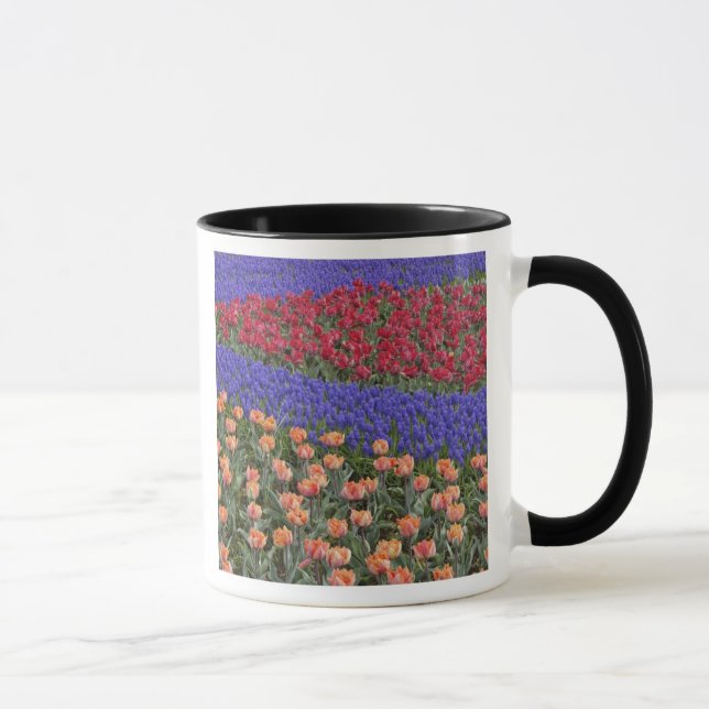 Taza Patrón de tulipanes y flores de jacinto de uva, 3 (Derecha)