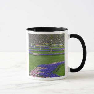 Taza Patrón de tulipanes y flores de jacinto de uva, 4