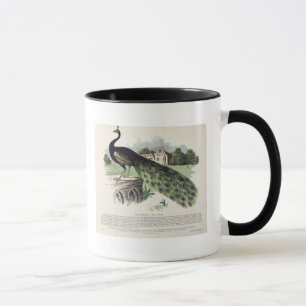 Taza Pavo real