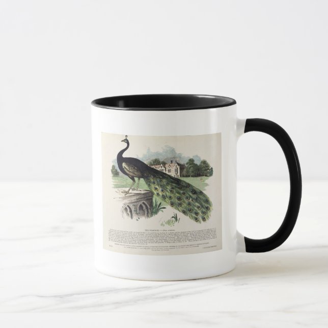 Taza Pavo real (Derecha)