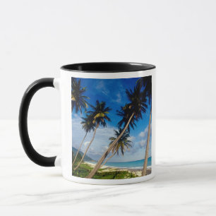 Taza Península de La Samana, República Dominicana,