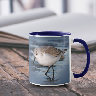 Taza Pequeña Sanderling en la playa