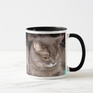 TAZA PEQUEÑO CAT DEL GRIS