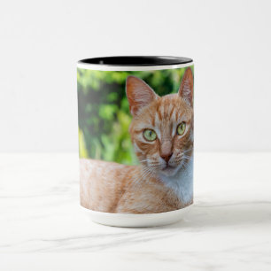 Taza Pequeño gatito dulce