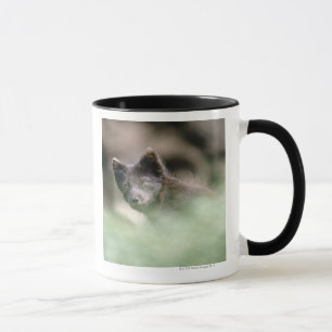 Taza Pequeño lobo negro