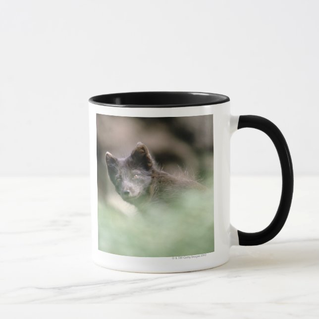 Taza Pequeño lobo negro (Derecha)