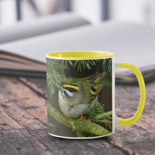 Taza Pequeño y lindo Kinglet provoca revuelo en el aire