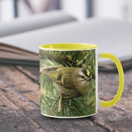 Taza Pequeño y lindo Kinglet provoca revuelo en el aire