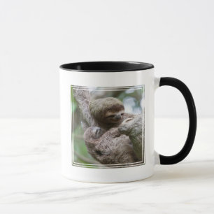 Taza Perezoso bebé con madre colgando de un árbol