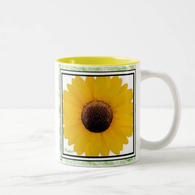 Taza perfecta (Derecha)