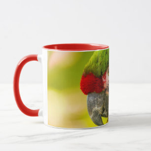 Taza Perfil de macaw en el zoológico de Santa Bárbara