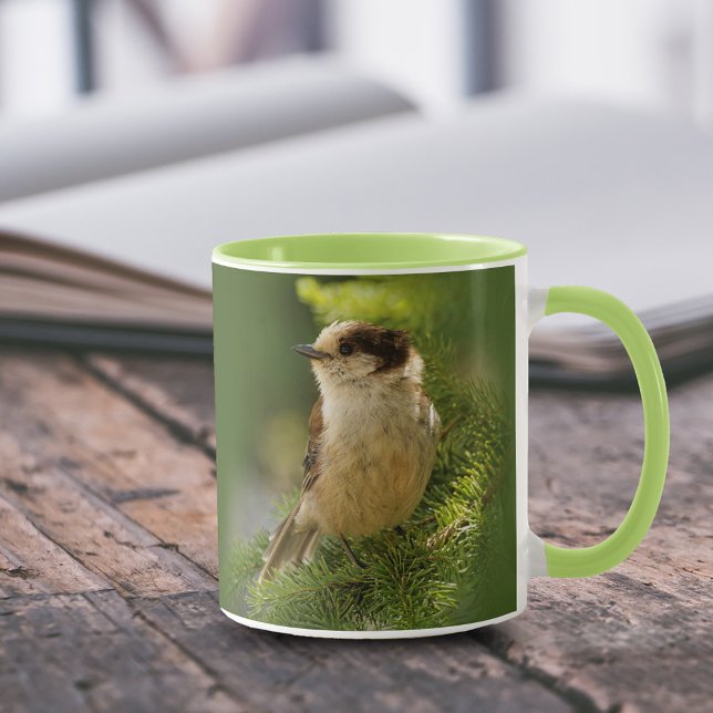 Taza Perfil de un Jay Gray/Whiskeyjack lindo (Portrait of a Grey Jay Whiskeyjack in the Tree 11 oz Coffee Mug Cover Photo.)