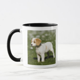 Taza Perrito 3