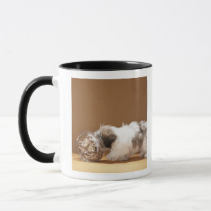 Taza Perrito con la cabeza en tarro de galletas