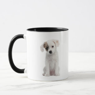 Taza Perrito cruzado de la raza (2 meses)