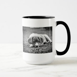 Taza Perrito de Bretaña
