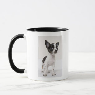 Taza Perrito de Chihuhua que se coloca en la tela