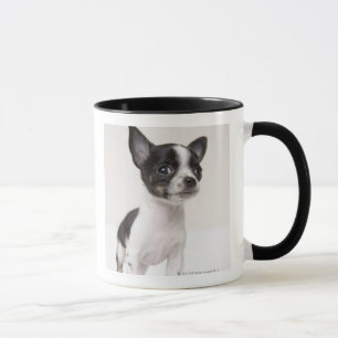 Taza Perrito de Chihuhua que se coloca en la tela