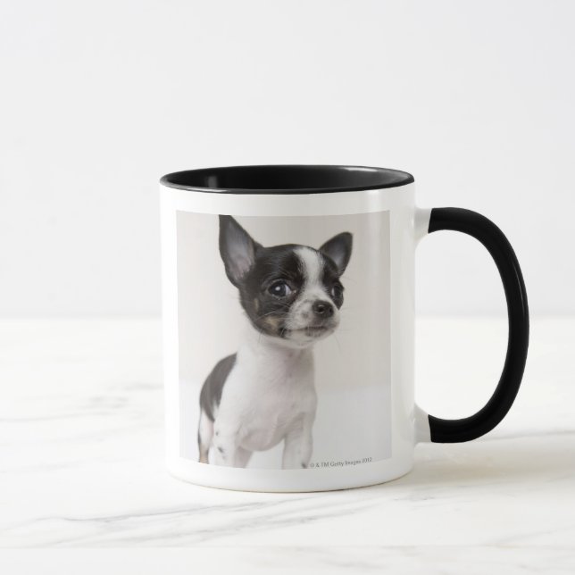Taza Perrito de Chihuhua que se coloca en la tela (Derecha)