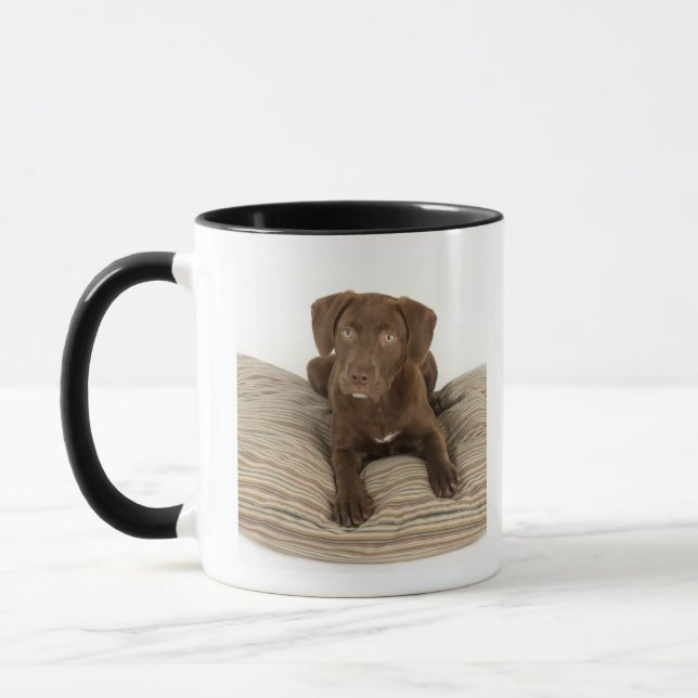 Taza Perrito de cuatro meses del laboratorio del (Izquierda)