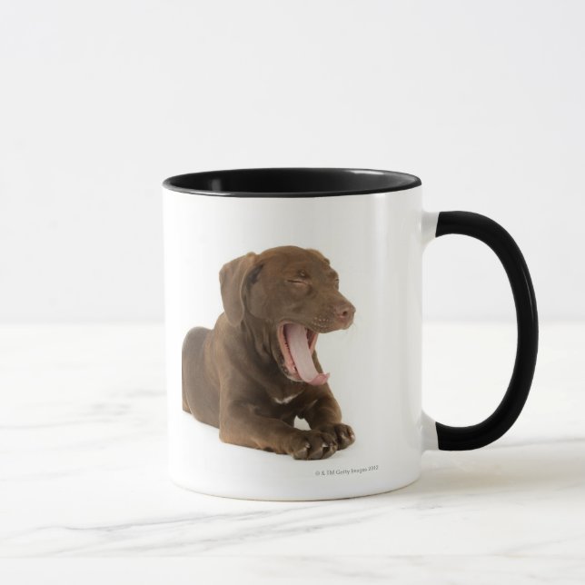 Taza Perrito de cuatro meses del laboratorio del (Derecha)