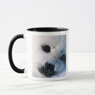 Taza Perrito de foca de Groenlandia 2