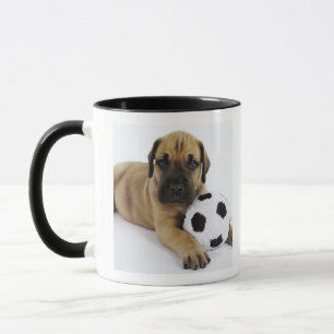 Taza Perrito de great dane con el balón de fútbol del