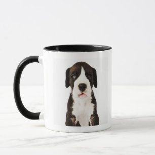 Taza Perrito de great dane del Harlequin en el fondo