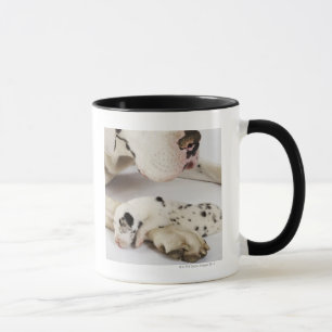 Taza Perrito de great dane del Harlequin que duerme en