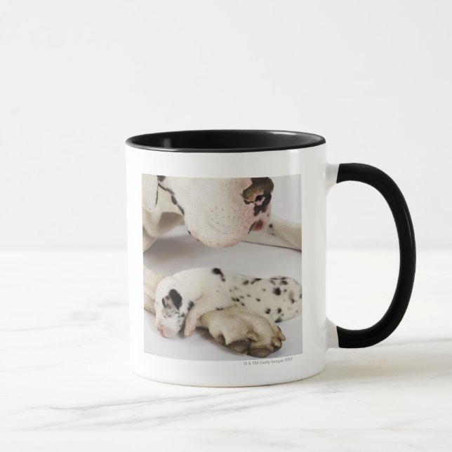 Taza Perrito de great dane del Harlequin que duerme en (Derecha)