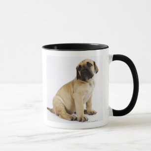 Taza Perrito de great dane que se sienta en estudio