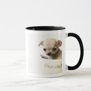 Taza Perrito de la chihuahua en el cuenco (cosechado)
