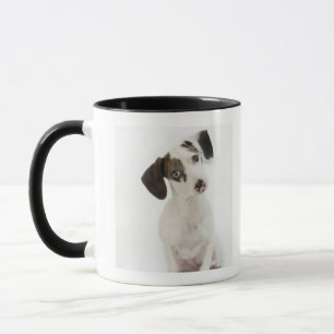 Taza Perrito de la hembra del Dachshund/de la chihuahua