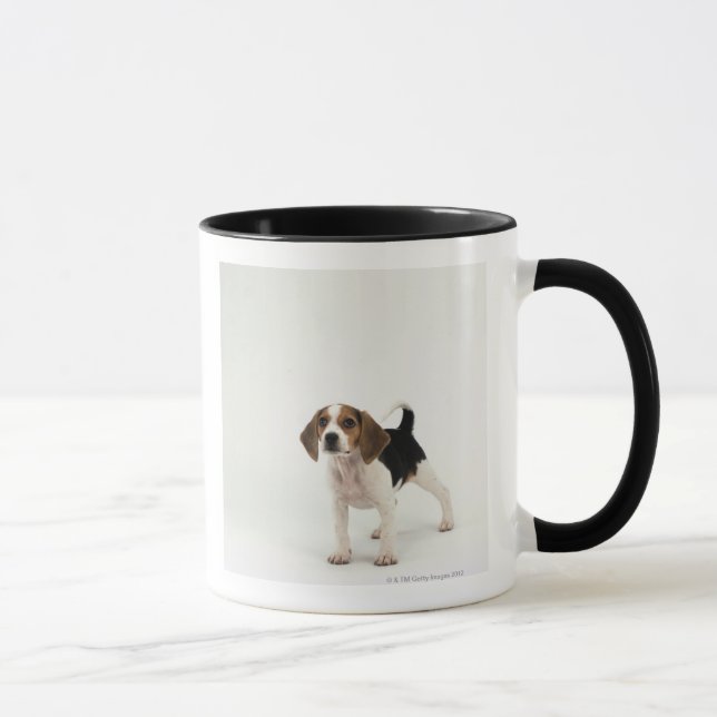 Taza Perrito del beagle (Derecha)