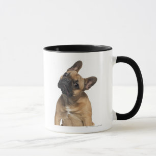 Taza Perrito del bulldog francés (7 meses)
