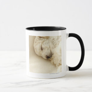 Taza Perrito del caniche el dormir