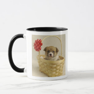 Taza Perrito en una cesta