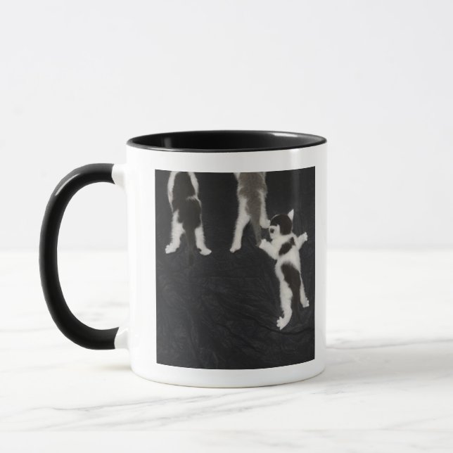 Taza Perrito fornido (Izquierda)