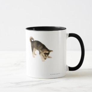 Taza Perrito fornido 2