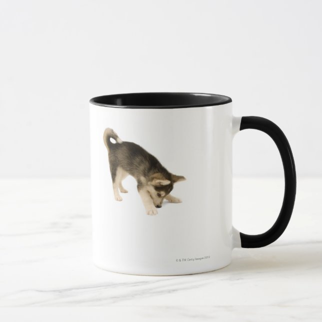 Taza Perrito fornido 2 (Derecha)