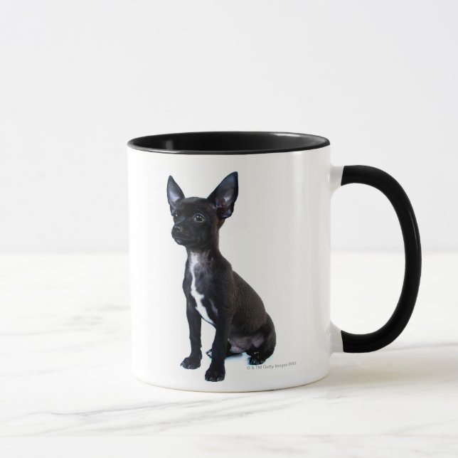 Taza Perrito negro de la chihuahua (Derecha)