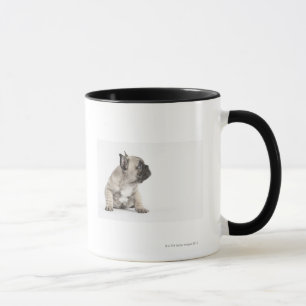 Taza Perrito pedigrí