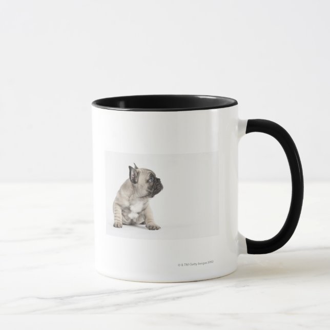 Taza Perrito pedigrí (Derecha)
